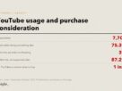 Data sheet listing respondents, multitasking share, ad-supported share and purchase-decision share.